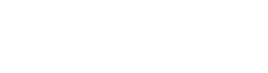 light logo